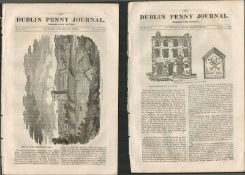 2 Antique Editions 1832 Dublin Penny Journal Wexford Galway Belfast-17.