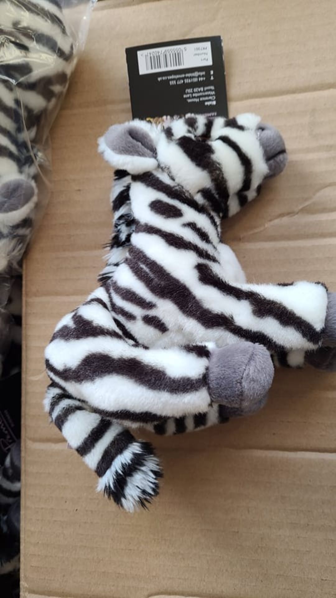 Box Of 65 Cuddly Toy Zebras All New Tagged - Image 2 of 2