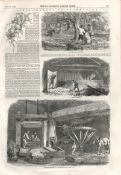 Cider Making In Devonshire 1850 Antique Newspaper.