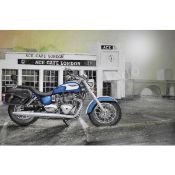 Ace Cafe America Iconic Triumph Motorcycle Metal Wall Art