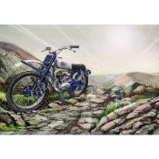 Greeves Scottish Trials Bike 60's Iconic British Motorbike Metal Wall Art
