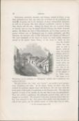 Antique Page Print 1850’s Blackpool Village Cork