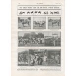 Dublin Horse Show Ballsbridge Dublin 1902 Antique Print