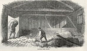 Cider Making In Devonshire 1850 Antique Newspaper.