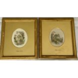 Pair Original Stunning Burkett Foster Watercolour Gilt Glazed Pictures 1825-1899