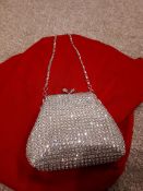 Silver Evening Bag