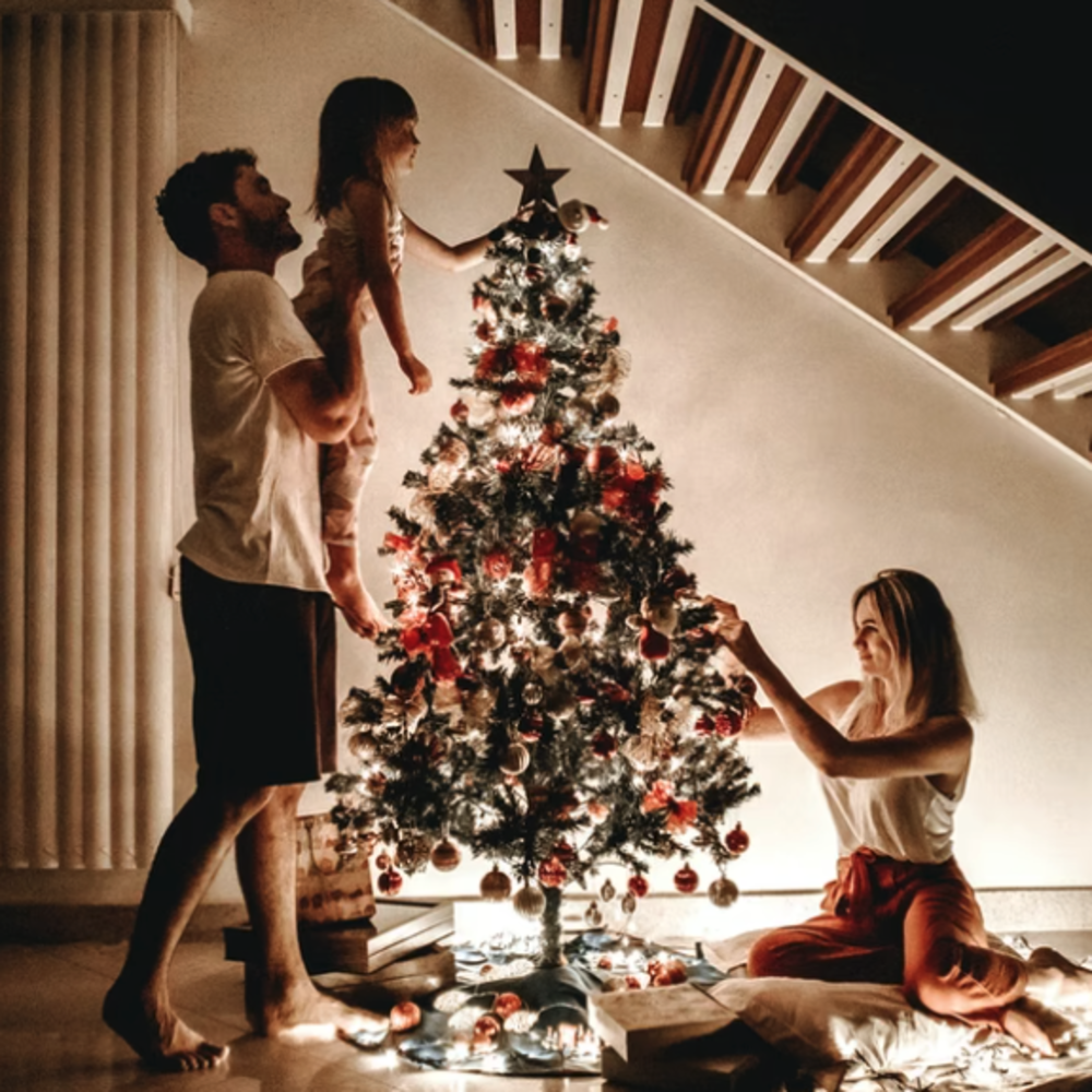No Reserve Seasonal Pallets: Christmas Trees, Christmas Card Packs, Gift Wrap, Gift Bags, Christmas Toys & Deco, LED Lights, Baubles & Glitter.