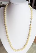 24 inch Single Strand Pearl Necklace
