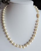 18 Inch Single Strand Pearl Necklace