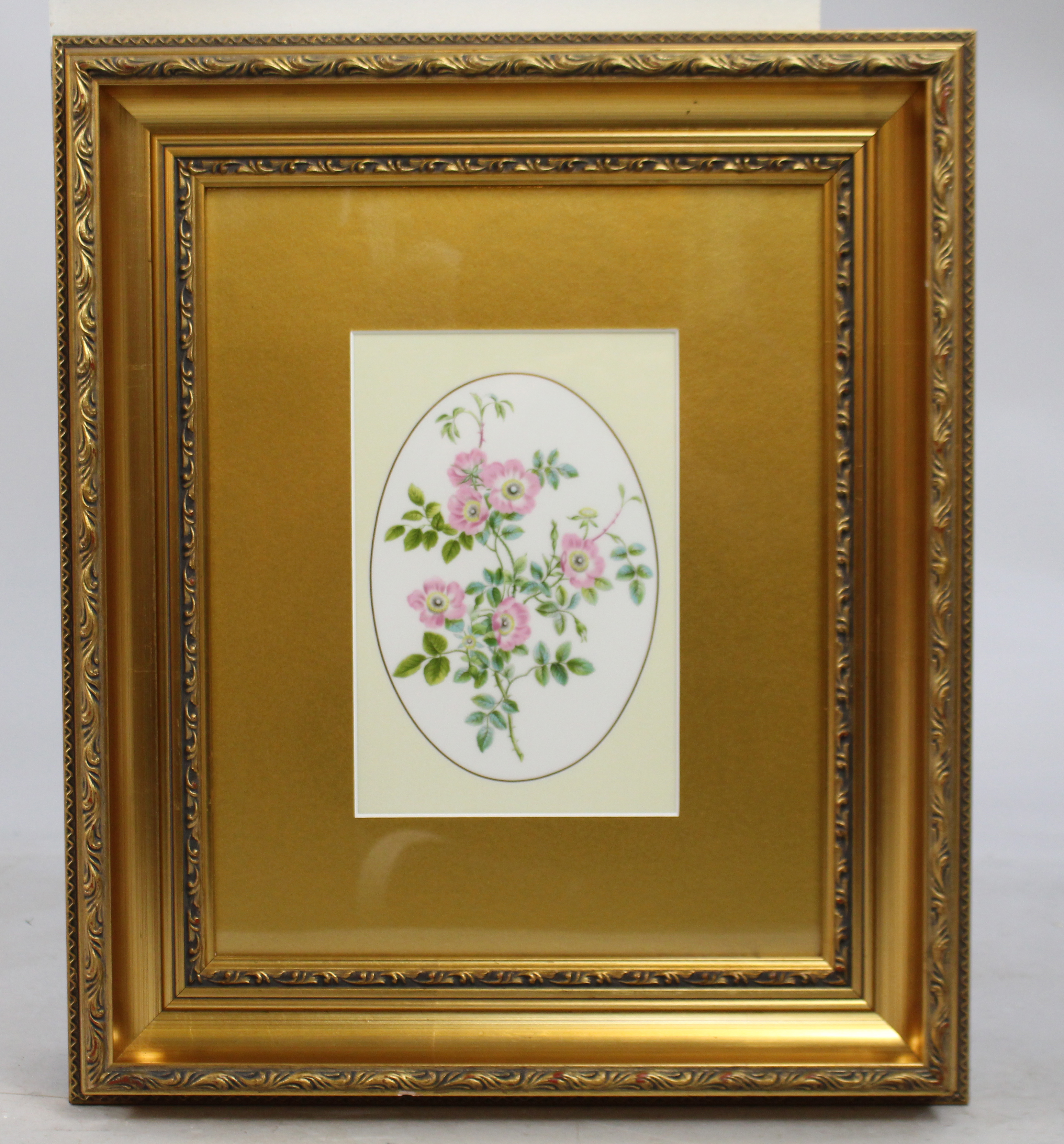 Royal Worcester Sweet Briar Rose Porcelain Plaque Set in Gilt Frame - Image 2 of 3