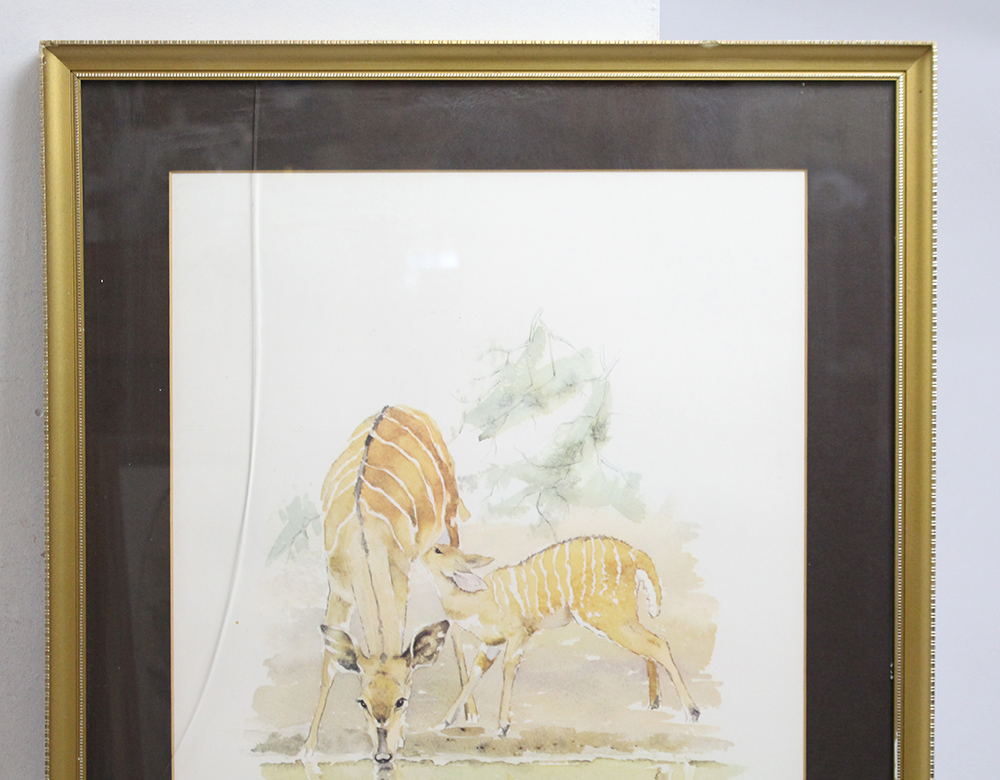 Patricia Wiles Limited Edition Animal Print Set in Frame - Image 2 of 4