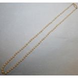 Graduated Pearl Necklace with Gold Clasp