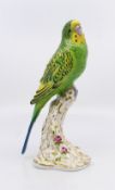 Royal Worcester Bird Green Budgerigar 2663