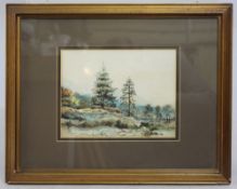 Forest Watercolour Mounted & Framed