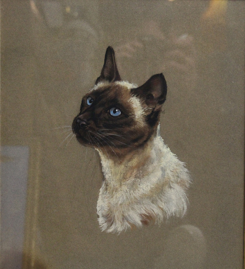 Pastel Siamese Cat by Jeanne Rynhart (1946-2020) - Image 2 of 3