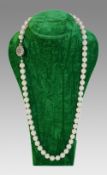 Akoya Pearl Necklace with 19th c. Sapphire Set Clasp