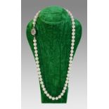 Akoya Pearl Necklace with 19th c. Sapphire Set Clasp