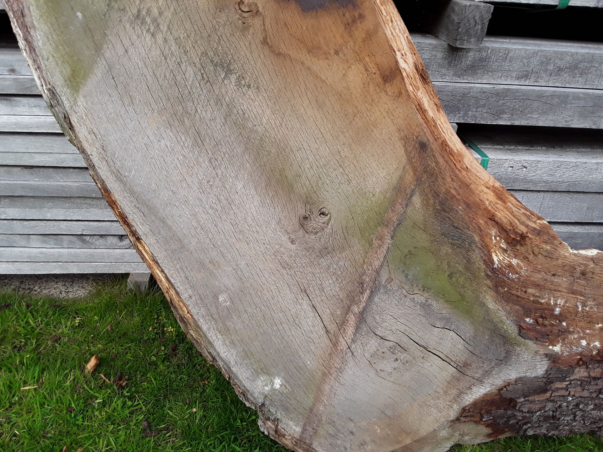 1 x Hardwood Air Dried Sawn English Oak Timber Waney Edge/ Live Edge Board / Slab - Image 5 of 7