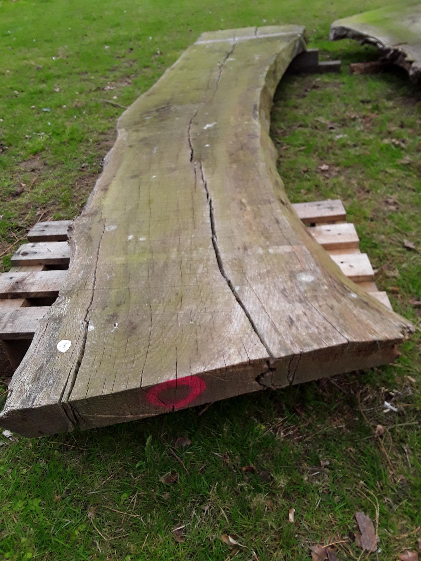 1 x Hardwood Rustic Air Dried Waney Edge / Live Edge English Oak Slab / Table Top - Image 2 of 6