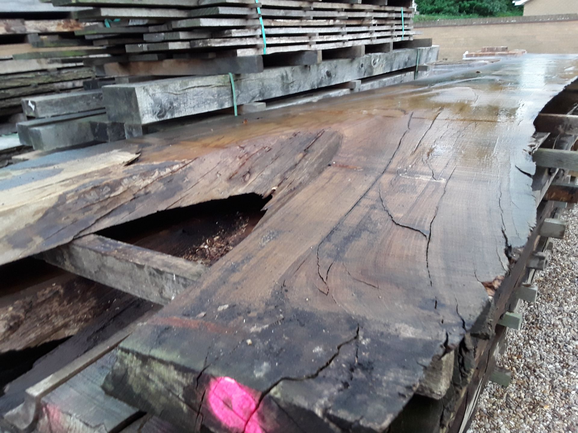 Hardwood Air Dried Sawn English Chestnut Waney Edge/ Live Edge Slab/ Table Top - Image 6 of 9