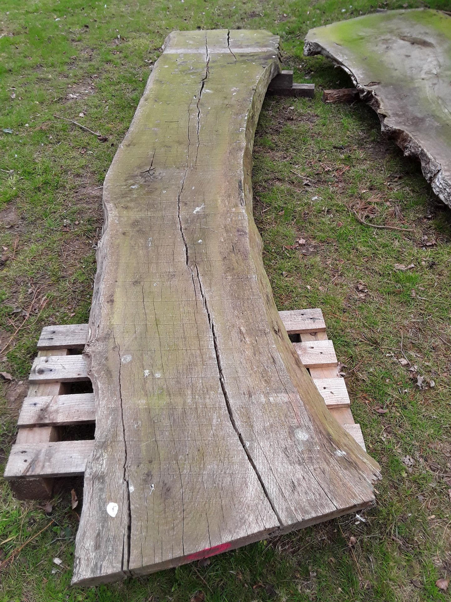 1 x Hardwood Rustic Air Dried Waney Edge / Live Edge English Oak Slab / Table Top