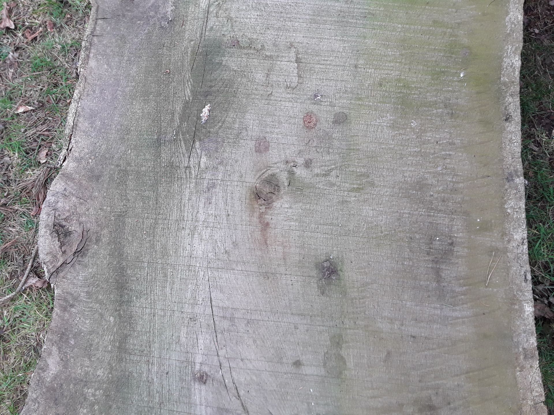 1 x Hardwood Timber Waney Edge / Live Edge Air Dried Sawn English Oak Slab / Table Top - Image 4 of 4