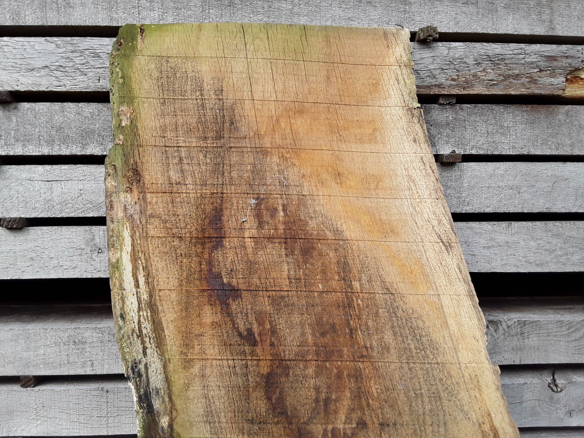 1 x Hardwood Air Dried Sawn English Oak Waney Edge / Live Edge Board / Timber Slab - Image 3 of 8