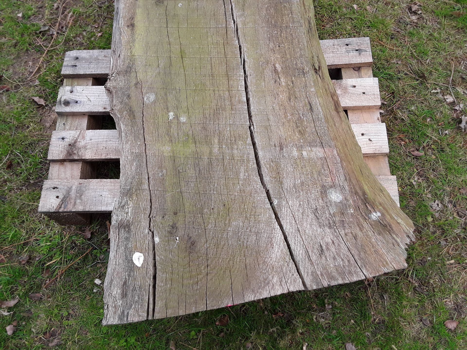 1 x Hardwood Rustic Air Dried Waney Edge / Live Edge English Oak Slab / Table Top - Image 6 of 6