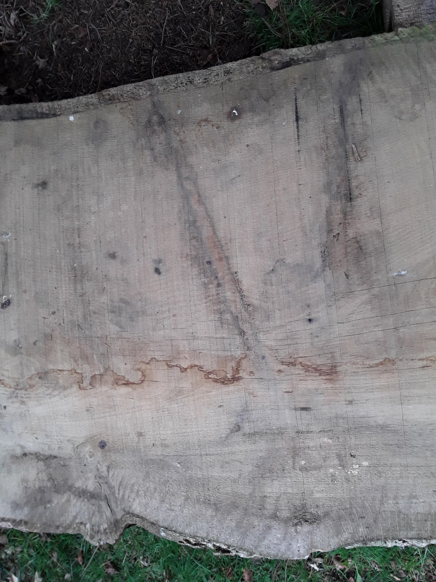 1 x Hardwood Timber Waney Edge / Live Edge Air Dried Sawn English Oak Slab / Table Top - Image 3 of 5