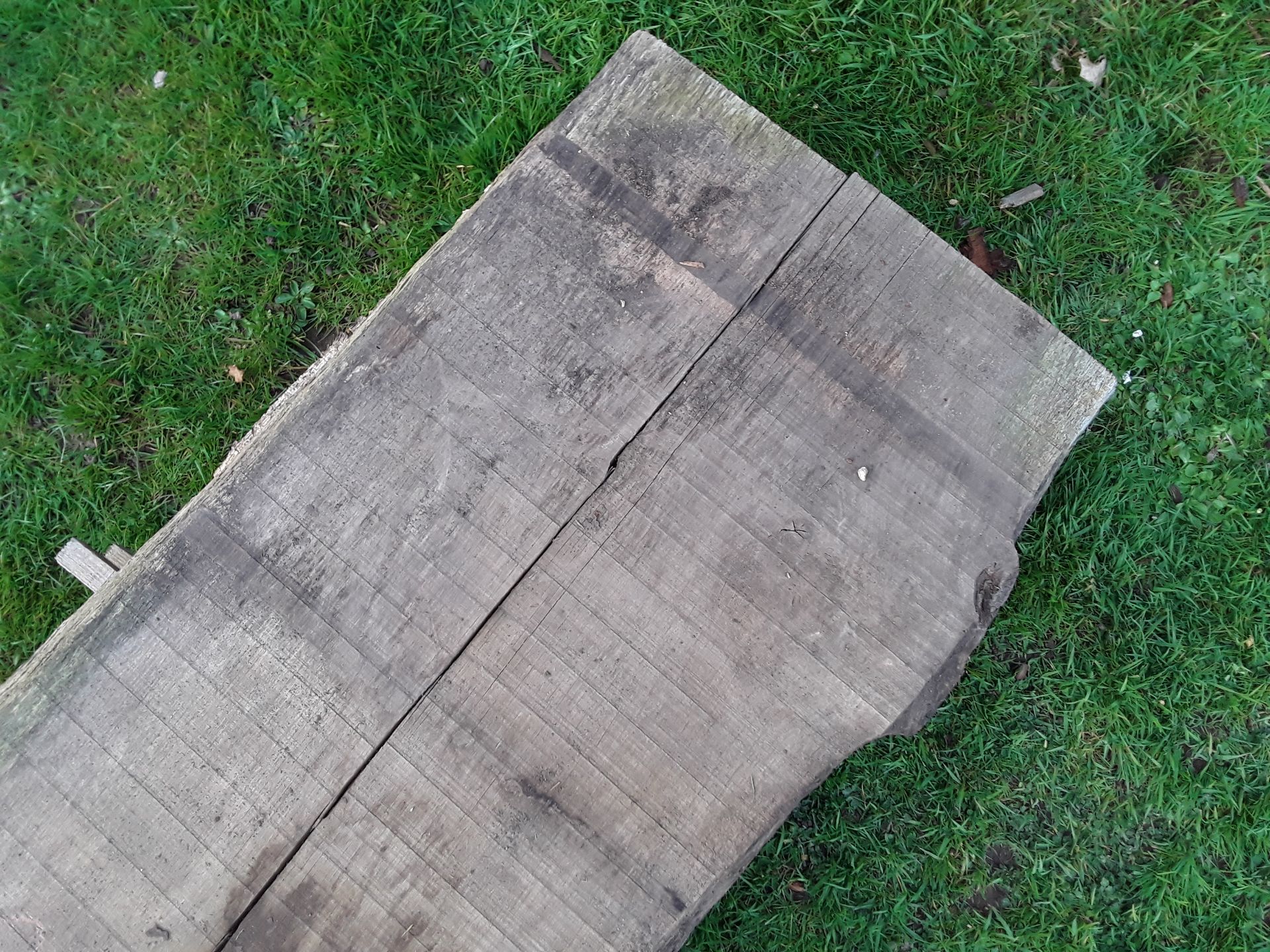 3 x Hardwood Air Dried Sawn English Oak Waney Edge / Live Edge Timber Boards / Slabs - Image 4 of 8