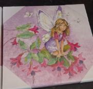 10 Fairy canvas frame