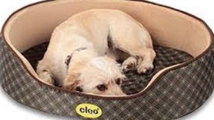 Brand New Cleo Dog Bed waterproof