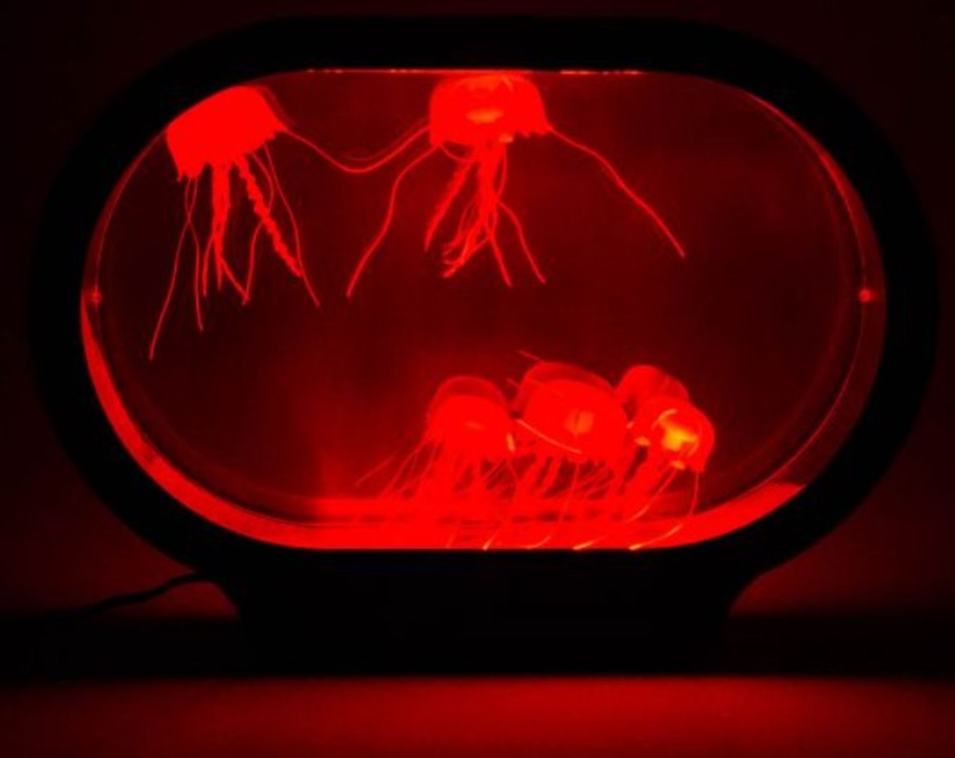 (9C) Lot RRP £414. 6x Red5 Realistic Jellyfish Lamp RRP £69 Each. (Units Have Return To Manufactur - Image 3 of 5