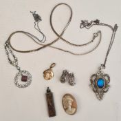 Parcel of Costume Jewellery Includes Cameo