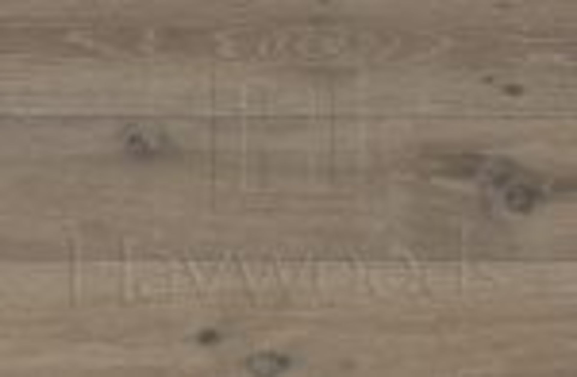 2 Packs,7.32sqm, European Oak, Trapa Nova, Rustic Grade Wood Flooring, HW13096