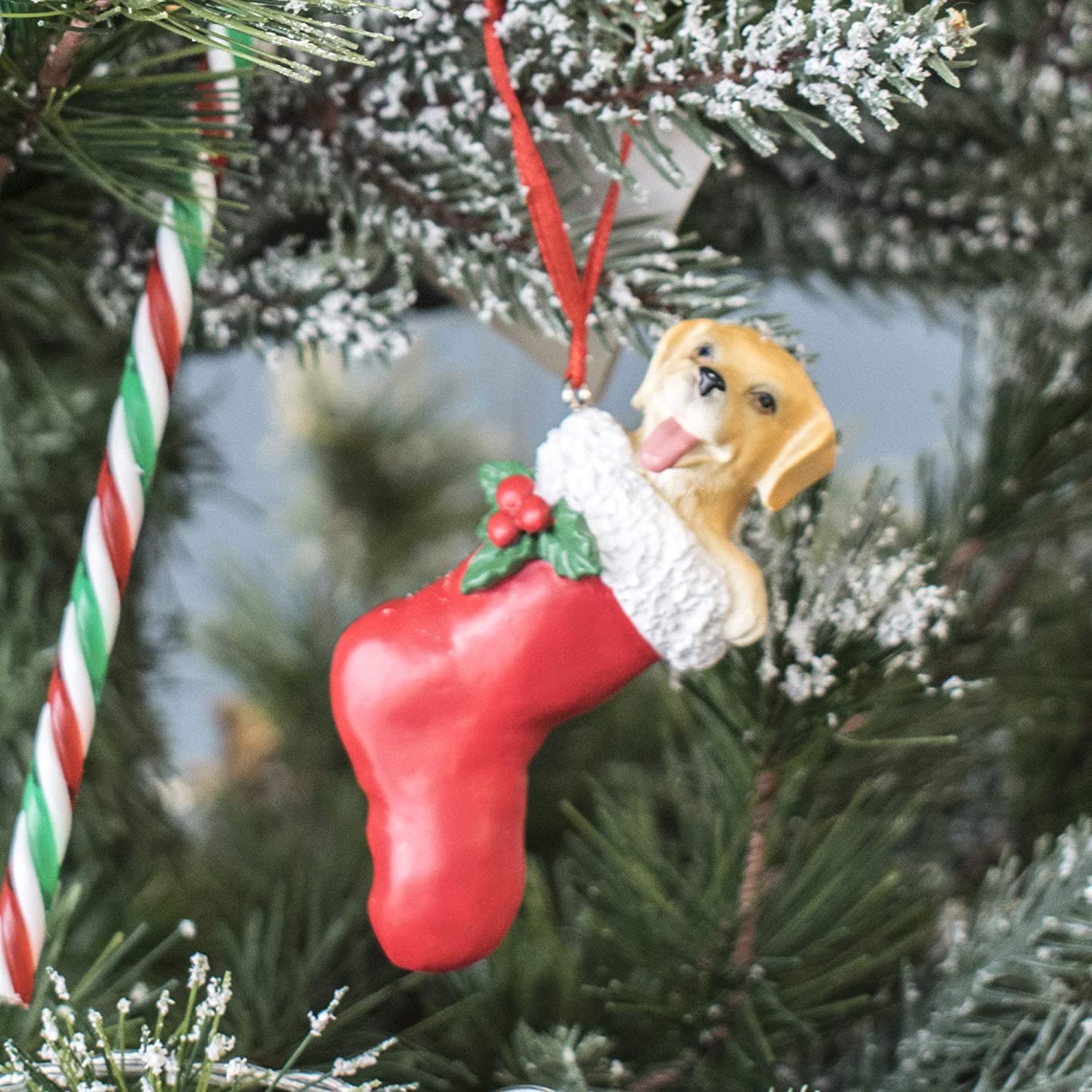 10 x Resin Dog In Stocking Christmas Tree Hangers - Image 2 of 7