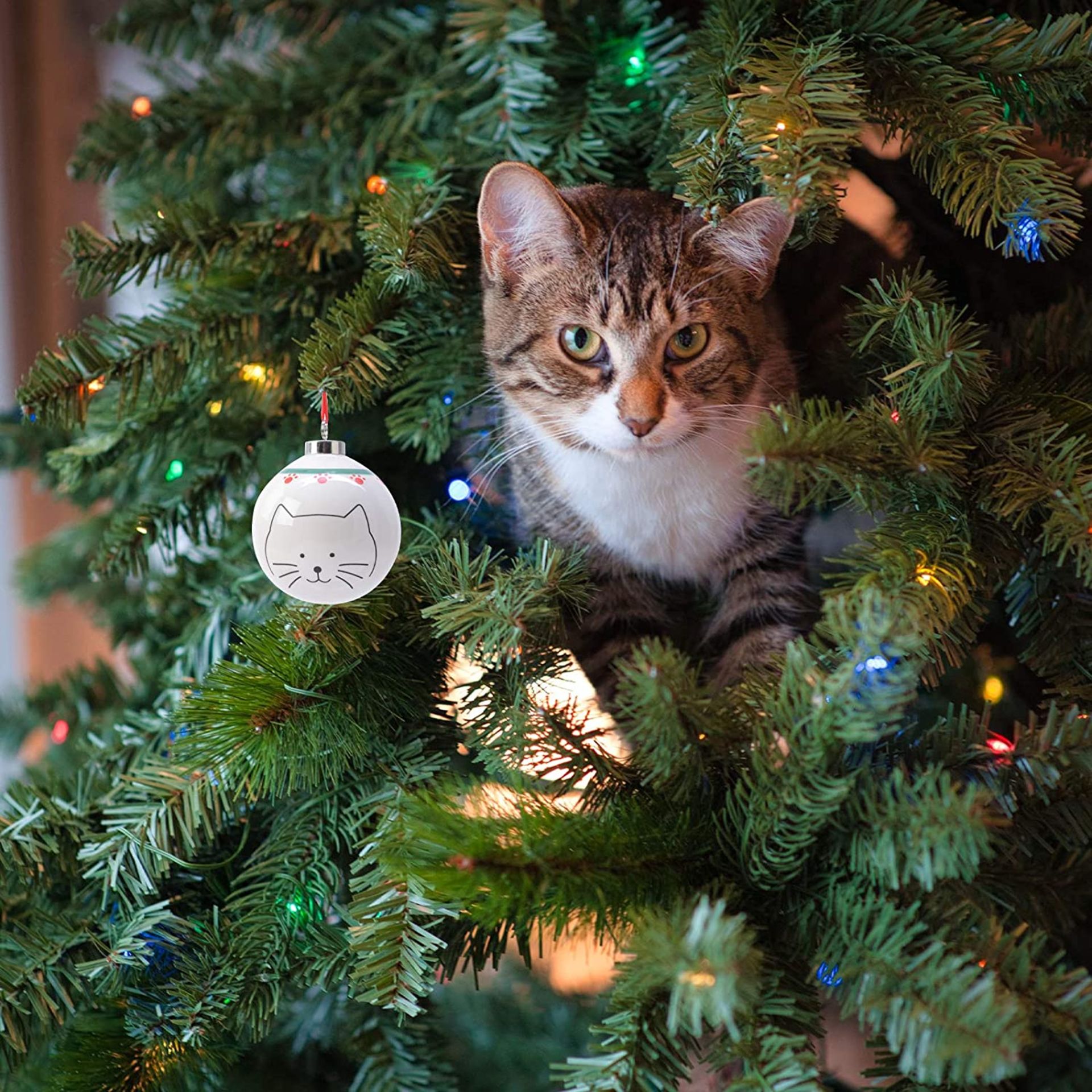 5 x Cat Large Hanging Christmas Baubles - Image 7 of 8