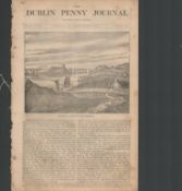 Antique Irish History Newspaper 1834 Palace Anne and Kilcascan Mansion Co Cork.