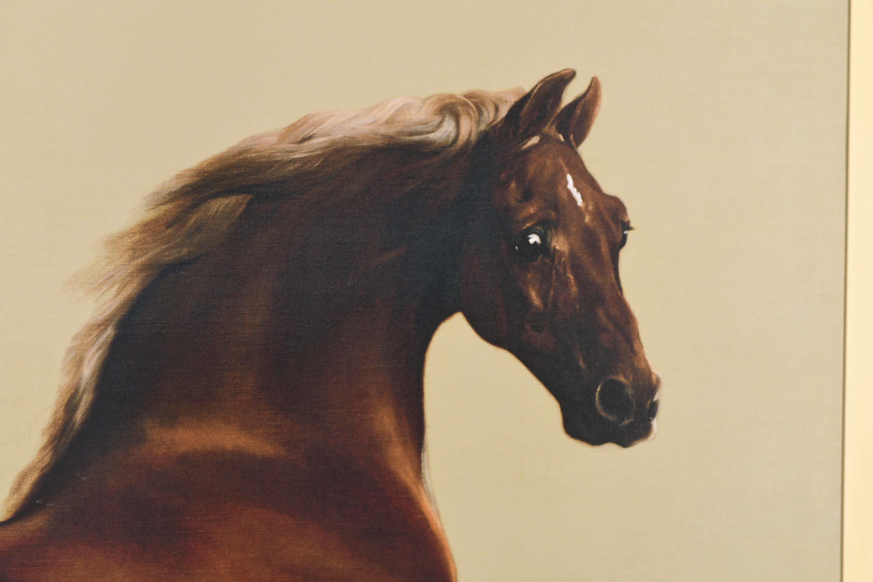 Stunning 6ft x 5ft George Stubbs """"Whistlejacket"""" Limited Edition on Canvas. - Image 9 of 12