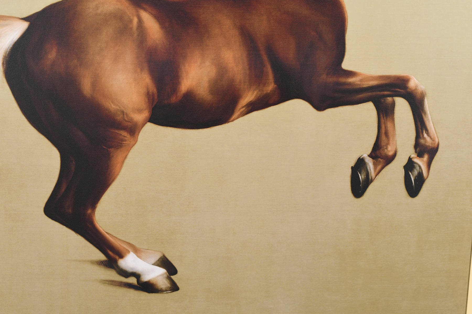 Stunning 6ft x 5ft George Stubbs """"Whistlejacket"""" Limited Edition on Canvas. - Image 2 of 12