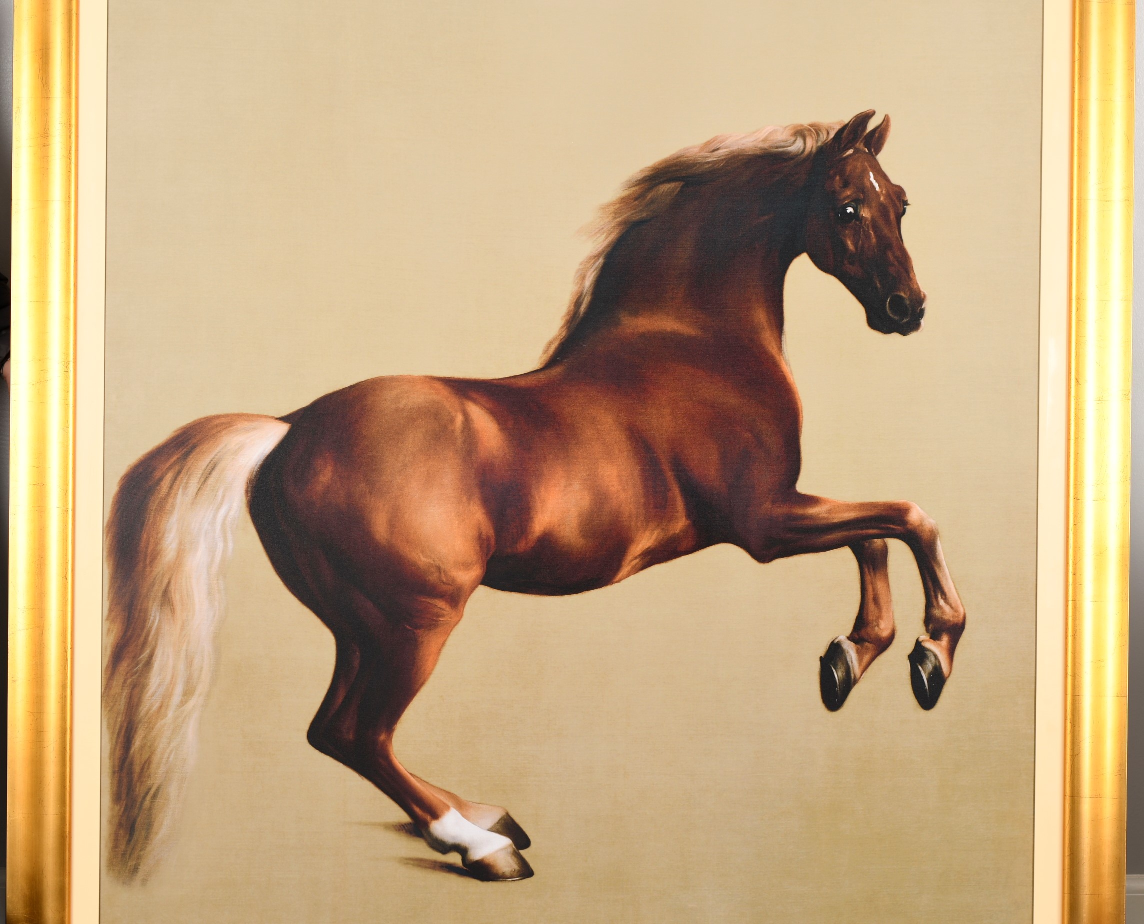 Stunning 6ft x 5ft George Stubbs """"Whistlejacket"""" Limited Edition on Canvas. - Image 8 of 12