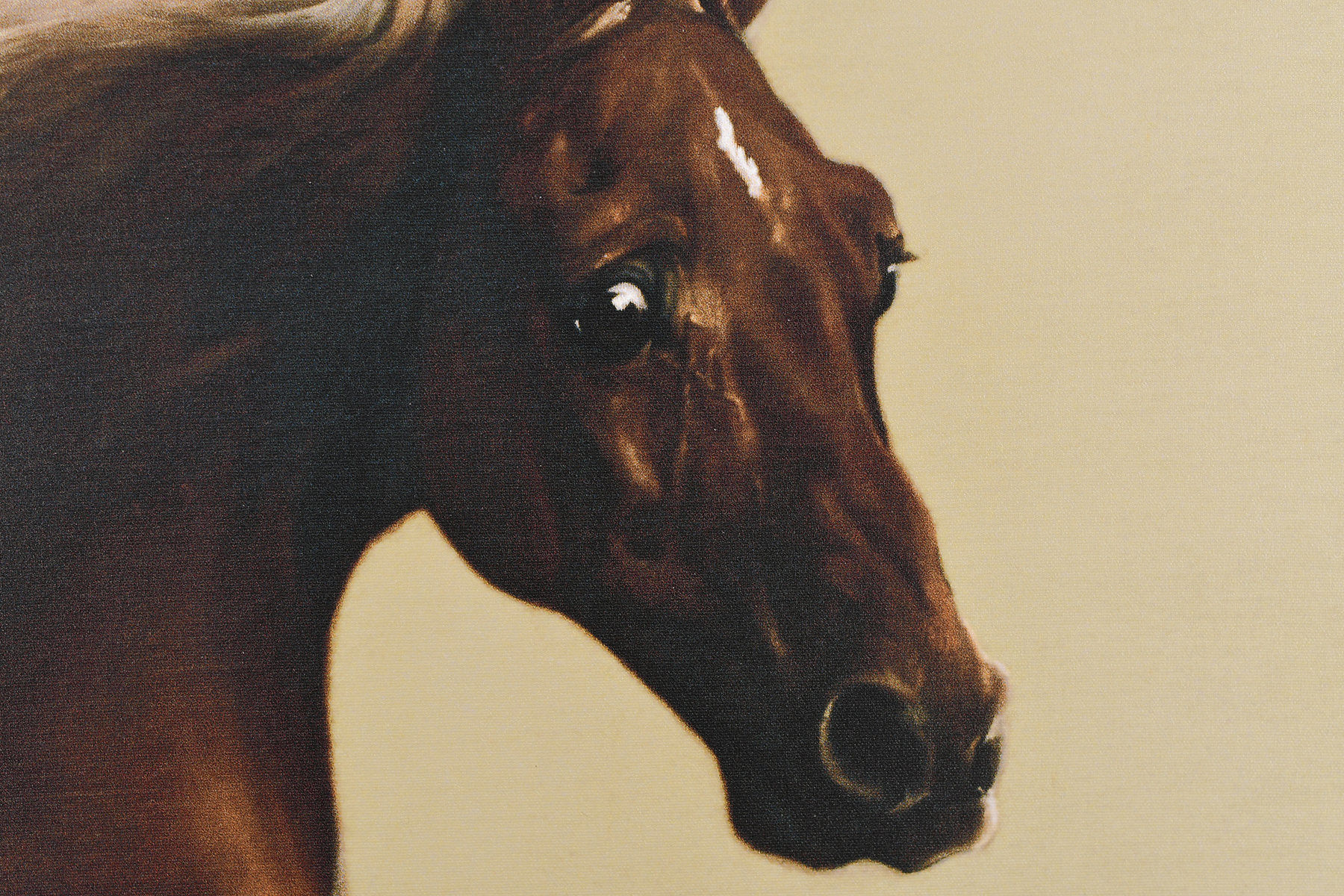 Stunning 6ft x 5ft George Stubbs """"Whistlejacket"""" Limited Edition on Canvas. - Image 11 of 12