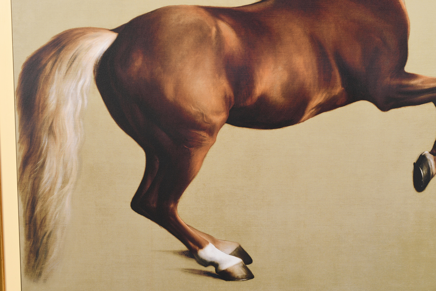 Stunning 6ft x 5ft George Stubbs """"Whistlejacket"""" Limited Edition on Canvas. - Image 10 of 12