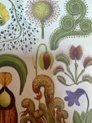 Vintage Botanical Frames Print