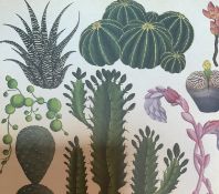 Botanical Vintage Frames Print