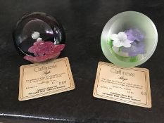 Caithness limited edition paperweights