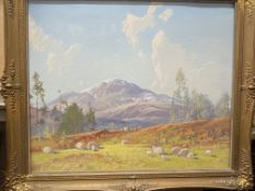 Tom Campbell Scottish 1865-1943 signed oil painting Lambs in Spring