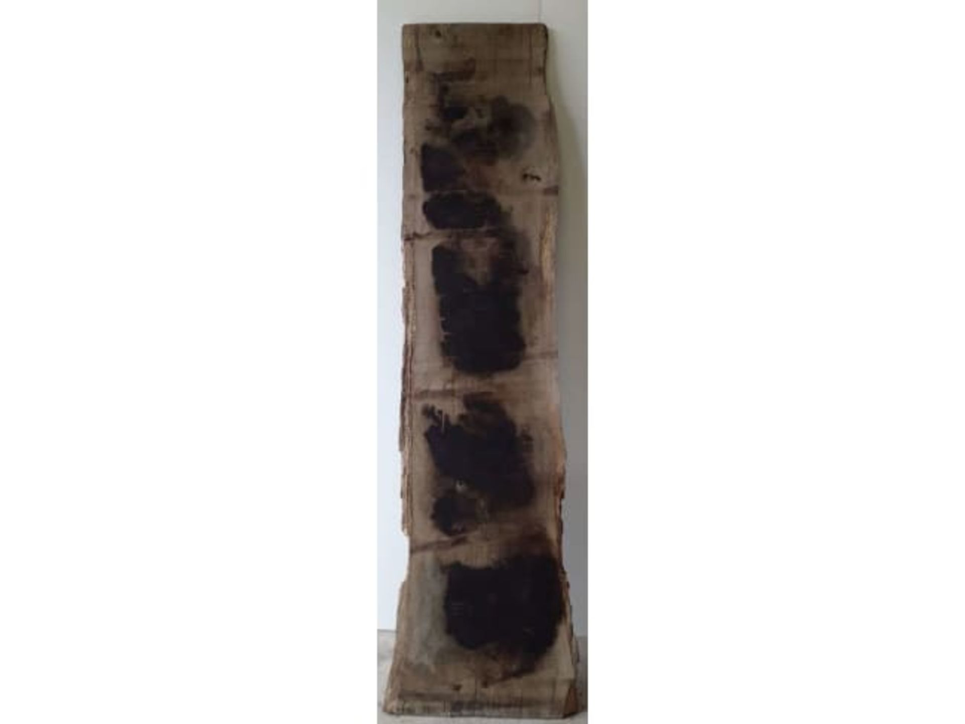 1 x Hardwood Air Dried Sawn Timber Waney Edge / Live Edge English Oak / Plank - Image 2 of 2