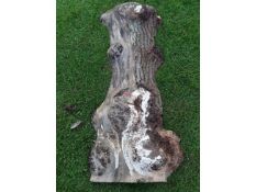 1 x Hardwood Timber Air Dried Sawn English Burr Oak Slab