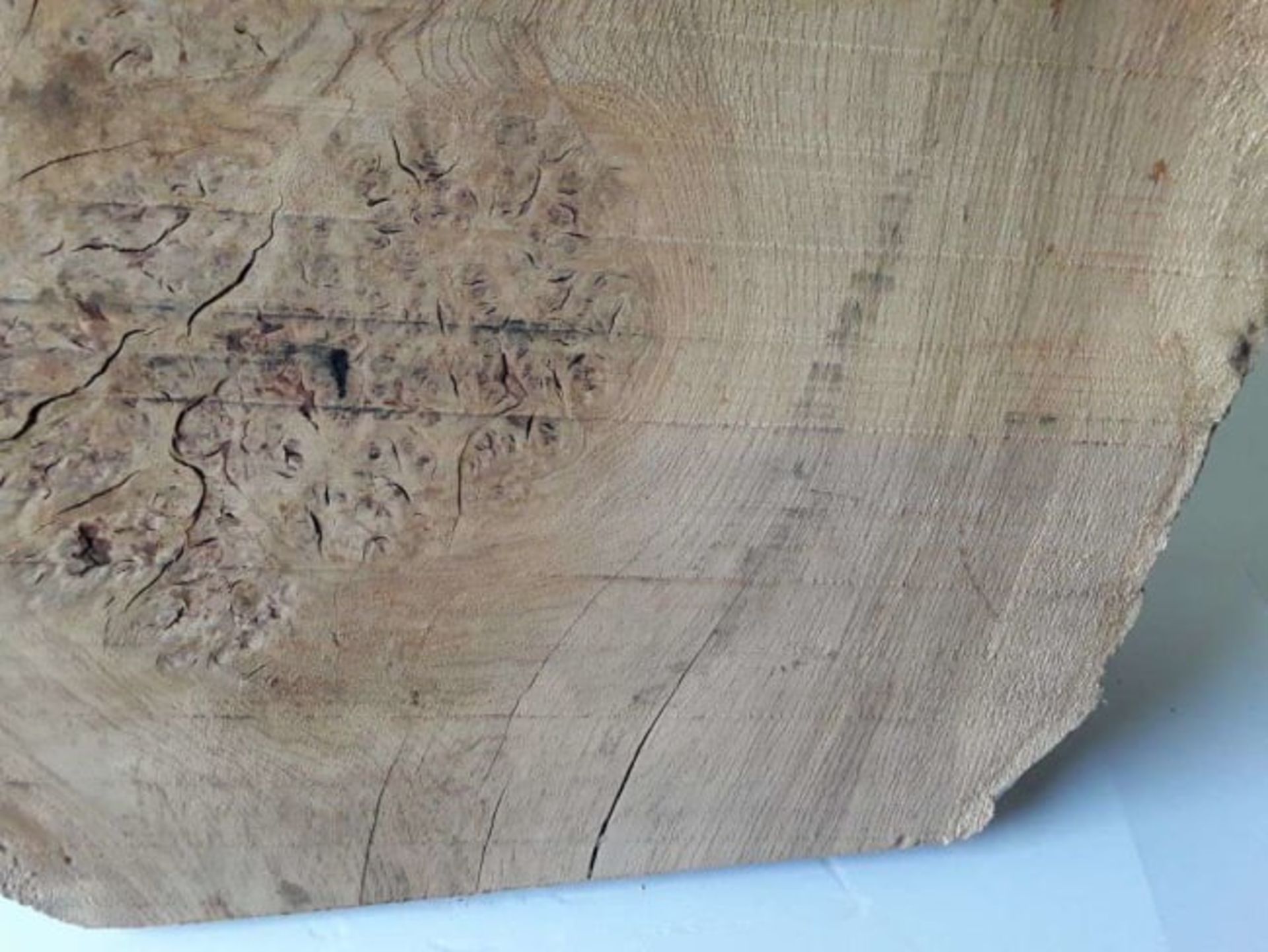 1 x Hardwood Timber Air Dried Sawn English Oak Burr Slab - Image 3 of 6